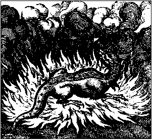  Саламандра - символ обжига.